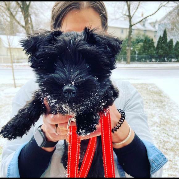 1️⃣ Urban Teacher 2️⃣ High Desert Dweller 3️⃣ Upcycler 4Ever 🙌🏼 - Picture 7 of 13